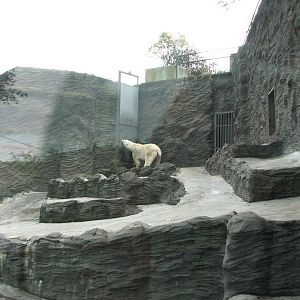Zoo Praha - Side-view of the Polar Bear exhibit