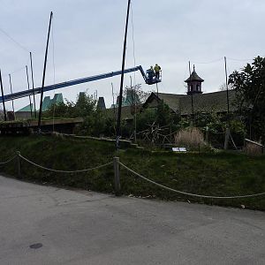 African Bird Safari - Netting being replaced