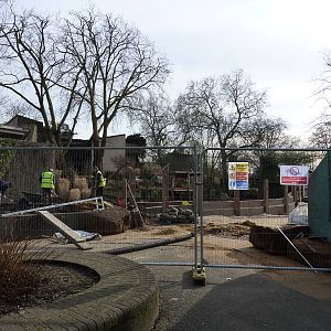 Lion enclosure works