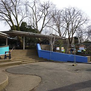 Cat terraces painted