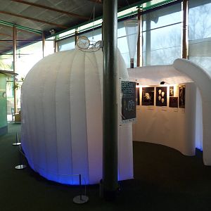 Plankton photo exhibition, BUGS