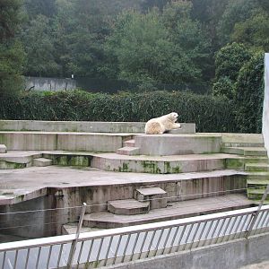 Zoo de Mulhouse 2006 - Right side of the Polar Bear exhibit