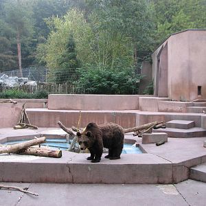Zoo de Mulhouse 2006 - Brown Bear exhibit