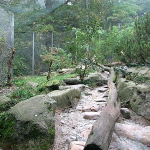 Zoo de Mulhouse 2006 - Snow Leopard exhibit