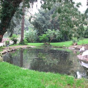Zoo de Mulhouse 2006 - Pelican exhibit