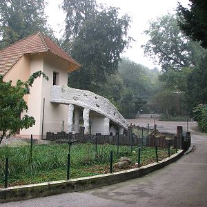 Zoo de Mulhouse 2006 - Pathway