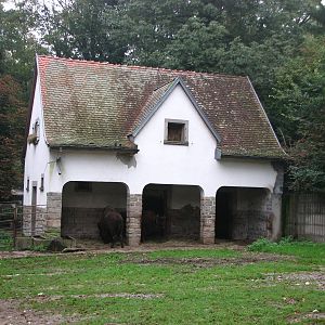 Zoo de Mulhouse 2006 - European Bison enclosure