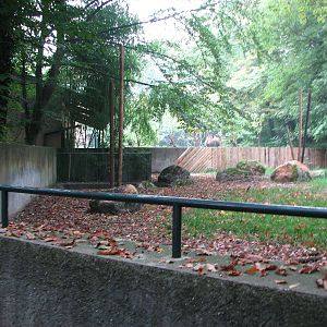 Zoo de Mulhouse 2006 - Brazilian Tapir exhibit