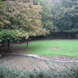 Zoo de Mulhouse 2006 - Another Deer paddock
