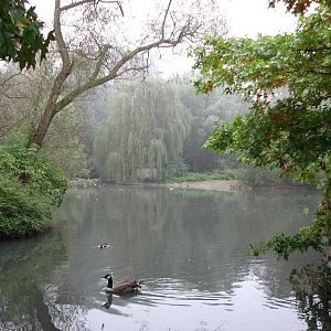 Zoo de Mulhouse 2006 - Lake in the Zoo