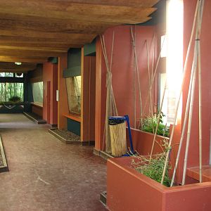 Zoo de Mulhouse 2006 - Inside the Primate House