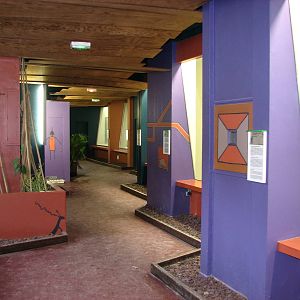 Zoo de Mulhouse 2006 - Inside the Primate House