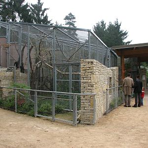 Zoo de Mulhouse 2006 - Spider Monkey enclosure outside the Primate House