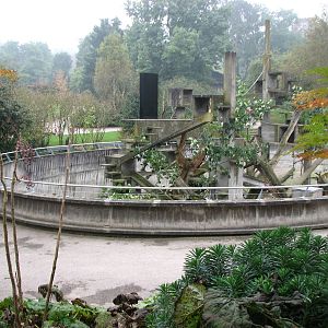 Zoo de Mulhouse 2006 - Tonkean Macaque exhibit