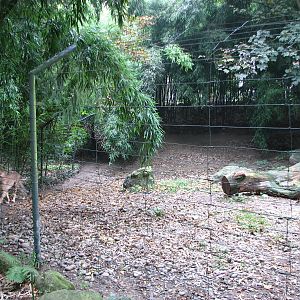 Zoo de Mulhouse 2006 - Cheetah enclosure
