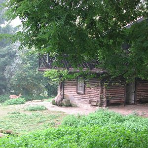 Zoo de Mulhouse 2006 - Guanaco and Nandu exhibit