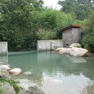 Zoo de Mulhouse 2006 - Penguin exhibit