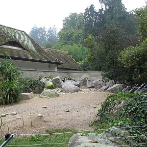 Zoo de Mulhouse 2006 - Penguin exhibit