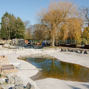 Chester Zoo Giant Otter Pool - 04/03/2010