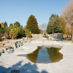 Chester Zoo Giant Otter Pool - 04/03/2010
