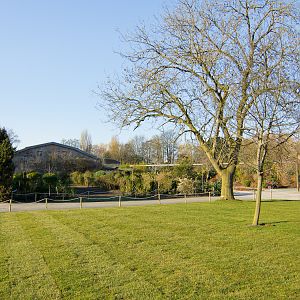 Chester Zoo Converted Enclosure - 04/03/2010