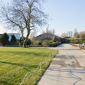 Chester Zoo Converted Enclosure - 04/03/2010