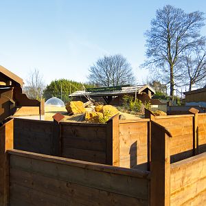 Chester Zoo Mongoose Mania - 04/03/2010