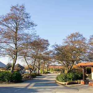 Chester Zoo Pathway - 04/03/2010