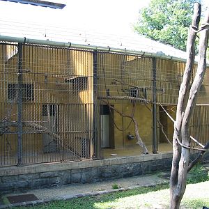 Budapest Zoo 2003 - Old primate cages