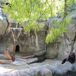Budapest Zoo 2003 - Brown Bear exhibit on the historic Central Rock