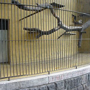 Budapest Zoo 2003 - Old primate cage