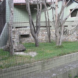 Budapest Zoo 2003 - Old Gorilla or Orangutan enclosure