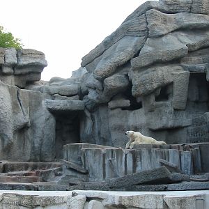 Budapest Zoo 2003 - Hagenbeck-style old Polar Bear exhibit