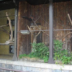 Budapest Zoo 2003 - Old primate cages
