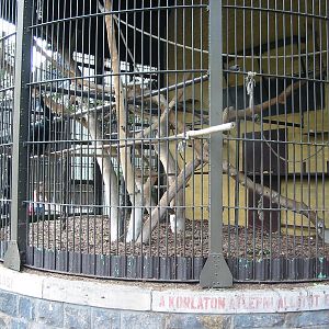 Budapest Zoo 2003 - Old primate cages