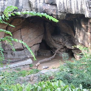 Budapest Zoo 2003 - Striped Hyena exhibit on the historic Central Rock