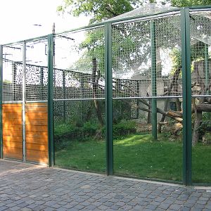 Budapest Zoo 2003 - Persian Leopard exhibit