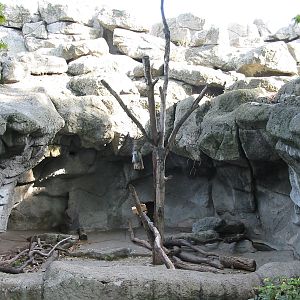 Budapest Zoo 2003 - Old Bear exhibit on the historic Central Rock
