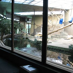 Arnhem Zoo 2004 - Old Orangutan house