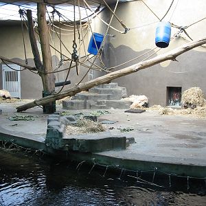 Arnhem Zoo 2004 - Old Orangutan house