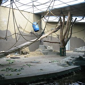 Arnhem Zoo 2004 - Old Orangutan house