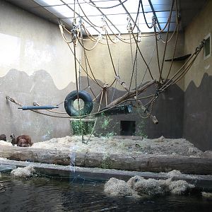 Arnhem Zoo 2004 - Old Orangutan house