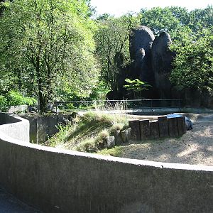 Arnhem Zoo 2004 - Pigmy Hippopotamus exhibit