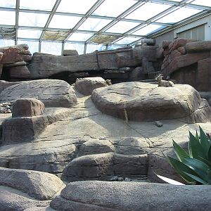 Arnhem Zoo 2004 - Inside the Desert building