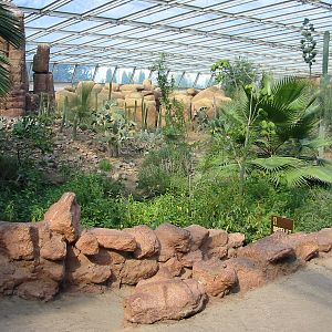 Arnhem Zoo 2004 - Inside the Desert building