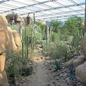 Arnhem Zoo 2004 - Inside the Desert building
