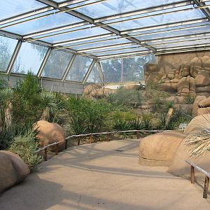 Arnhem Zoo 2004 - Inside the Desert building