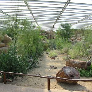 Arnhem Zoo 2004 - Inside the Desert building
