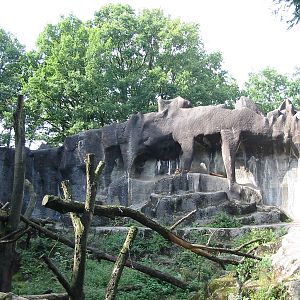 Arnhem Zoo 2004 - The old Sumatran Tiger exhibit