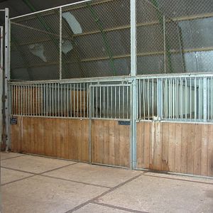 Arnhem Zoo 2004 - Stables in the Safari area
